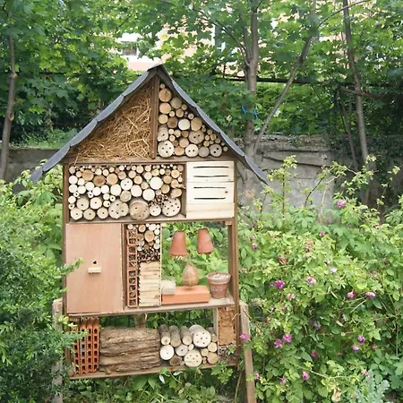 Bed & Breakfast D'hotes L'atelier Millau